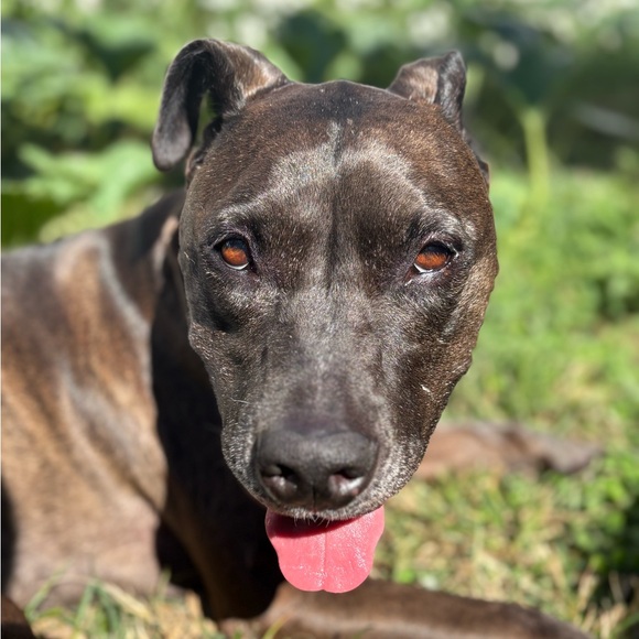 Meet your posher, Jennifer - Picture 7 of 7